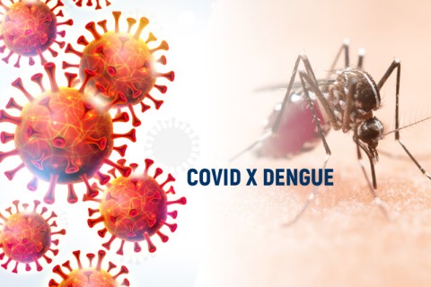 Entenda a diferença dos sintomas de dengue e de covid-19