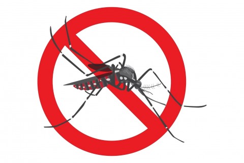 Governo de SP deve decretar emergência após dengue ultrapassar 100 mortes em 2025